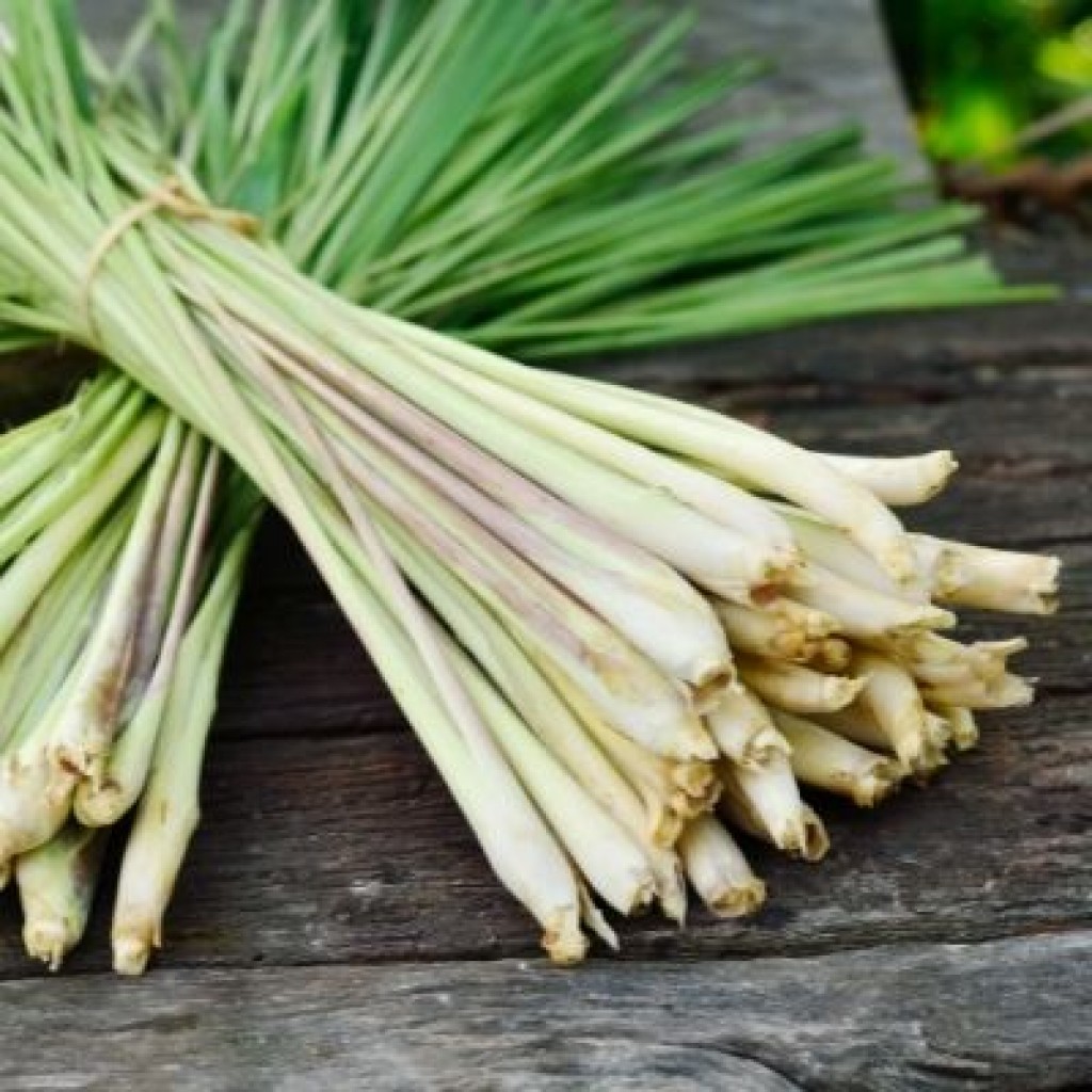 Lemongrass